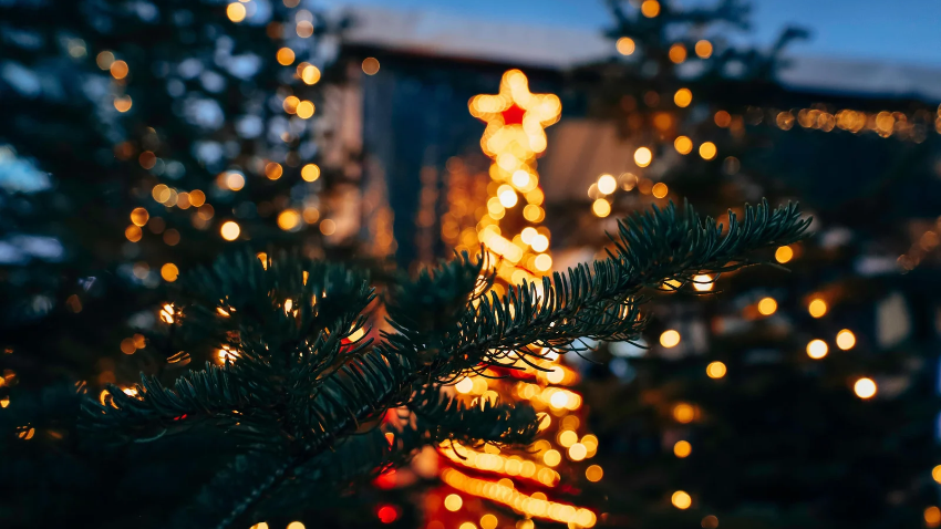Holiday Guide: The Best Christmas Activities in Vancouver [2026]