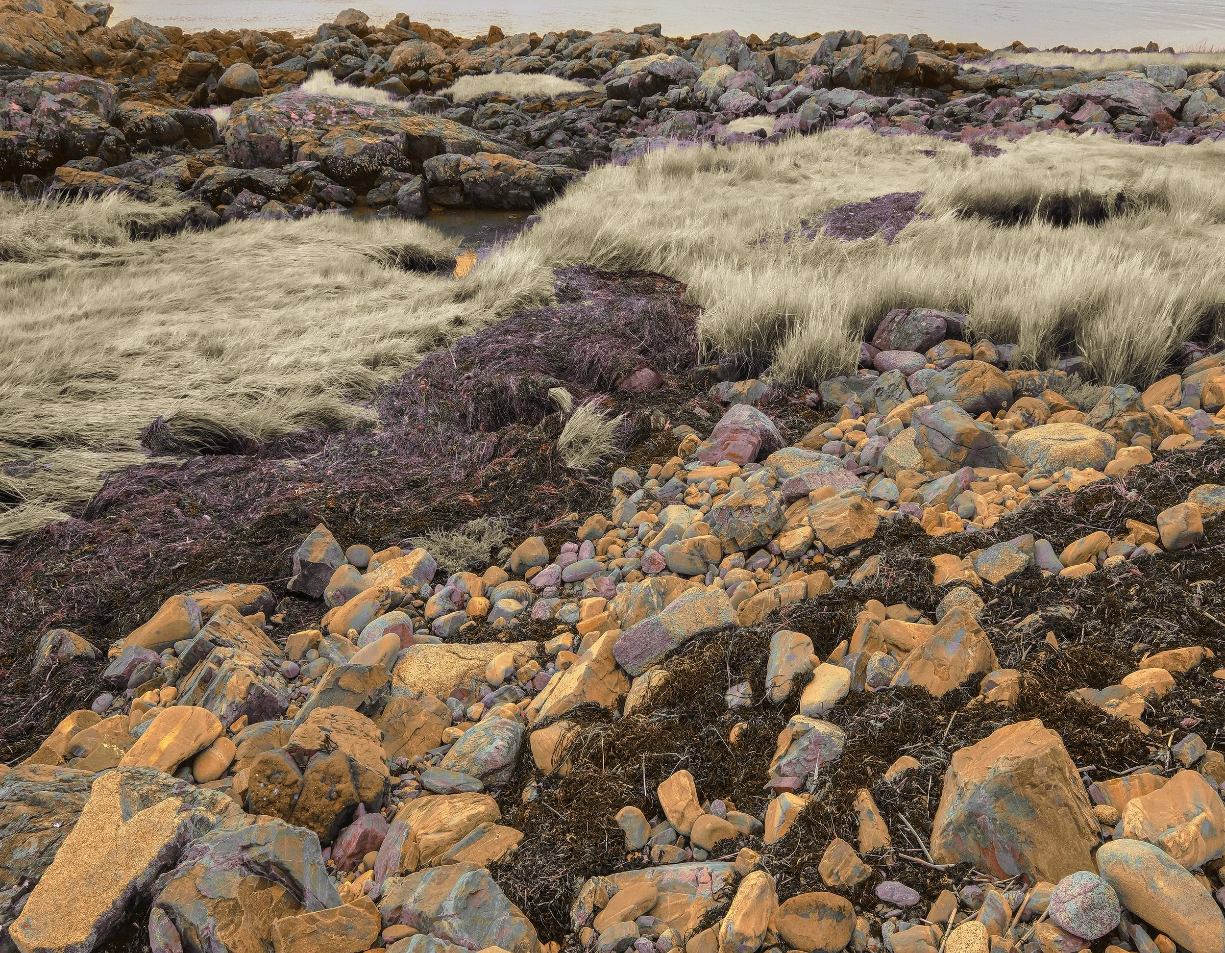Timber Point, Biddeford V