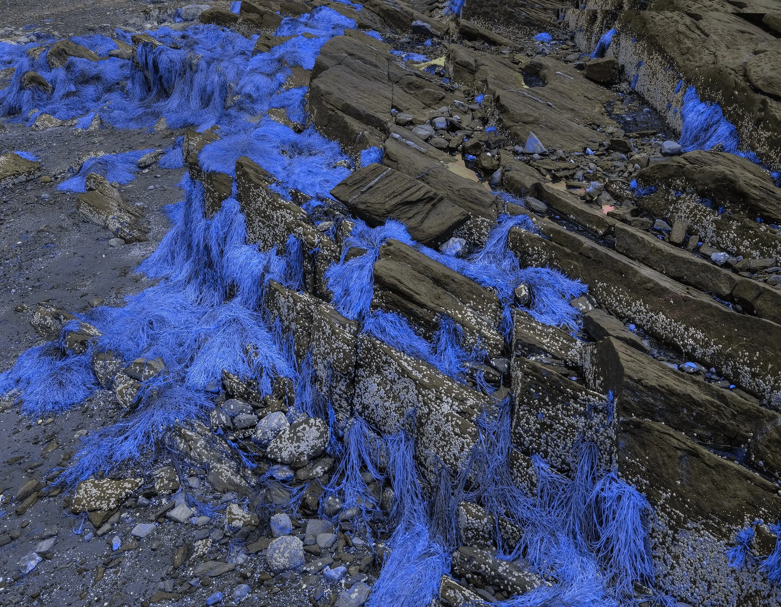 _DSF0766 _Enhanced_.jpg