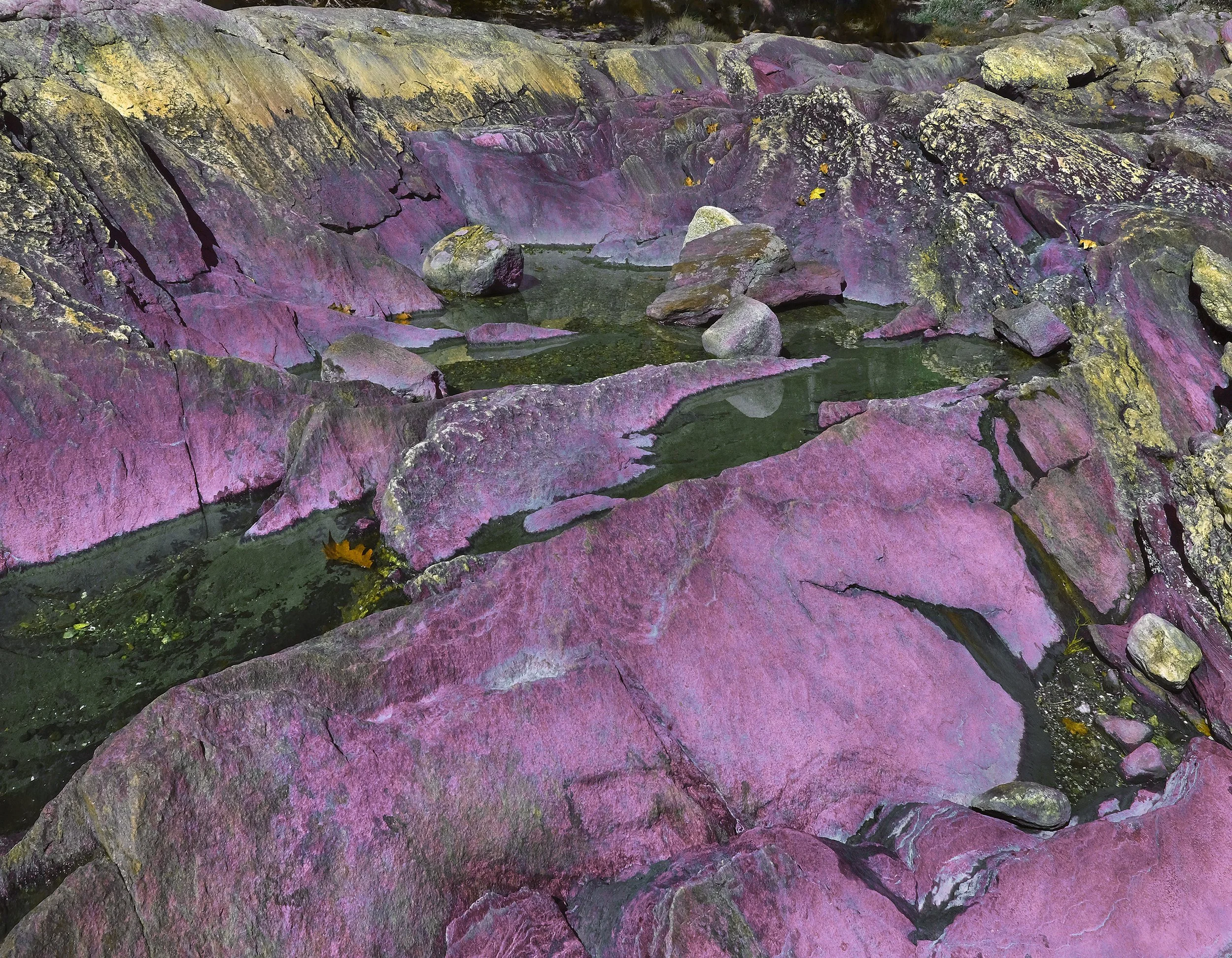 Wolfe's Neck, Freeport