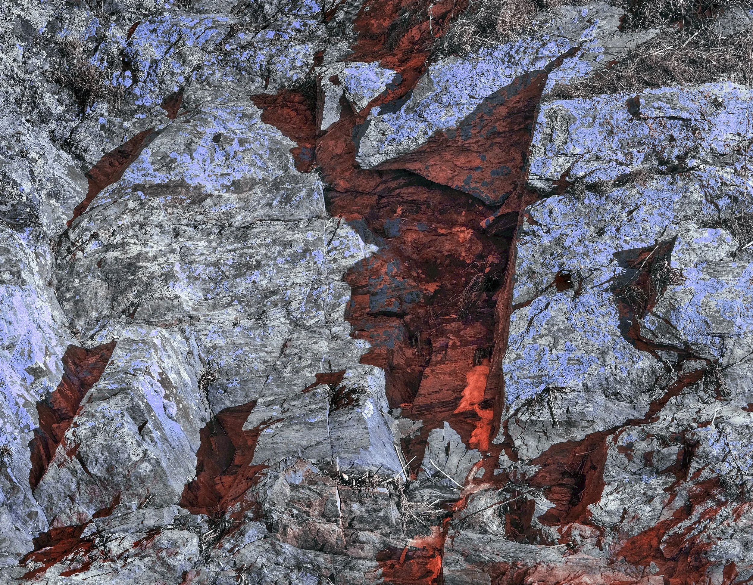Close-up view of a rocky surface with patches of orange-brown and gray stones, some dried grasses, and purple lichen or moss growing on the rocks.