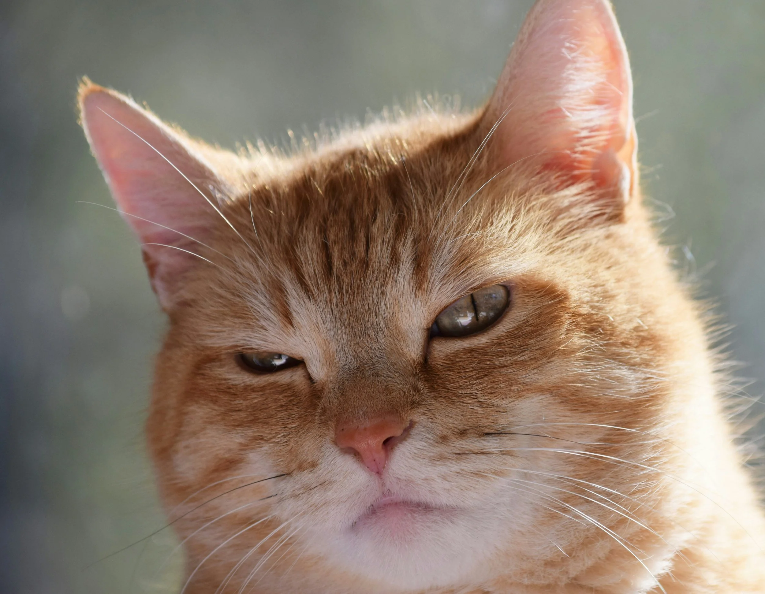 Why Does Everything My Partner Do Annoy Me?