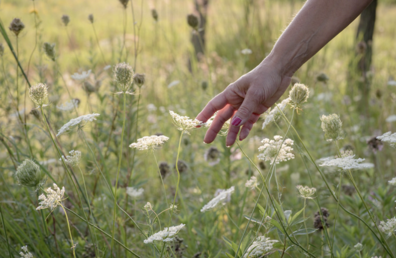 HoloSomatic Energy Healing