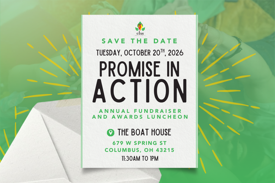Promise In Action Annual Fundraiser & Awards Luncheon