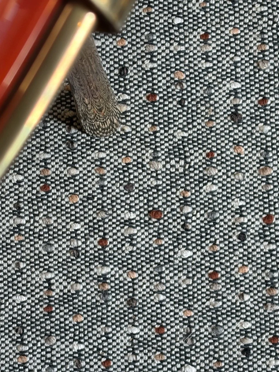 Perrine, Rugs, Aussane