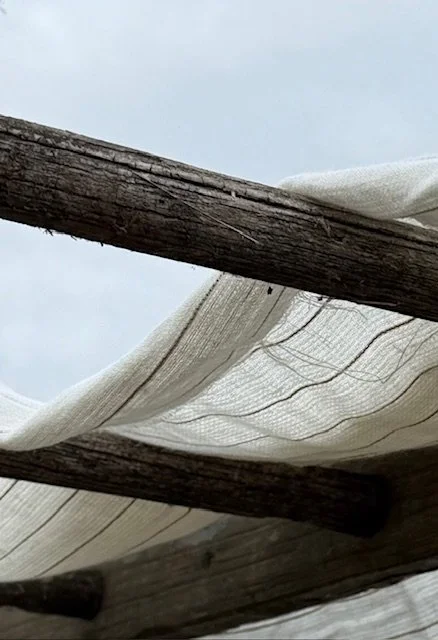 Issé, Jules - T101302 | Textiles