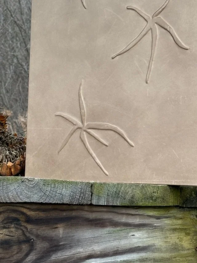 NB Milano, Wall Coverings, Flowers Travorio.jpg