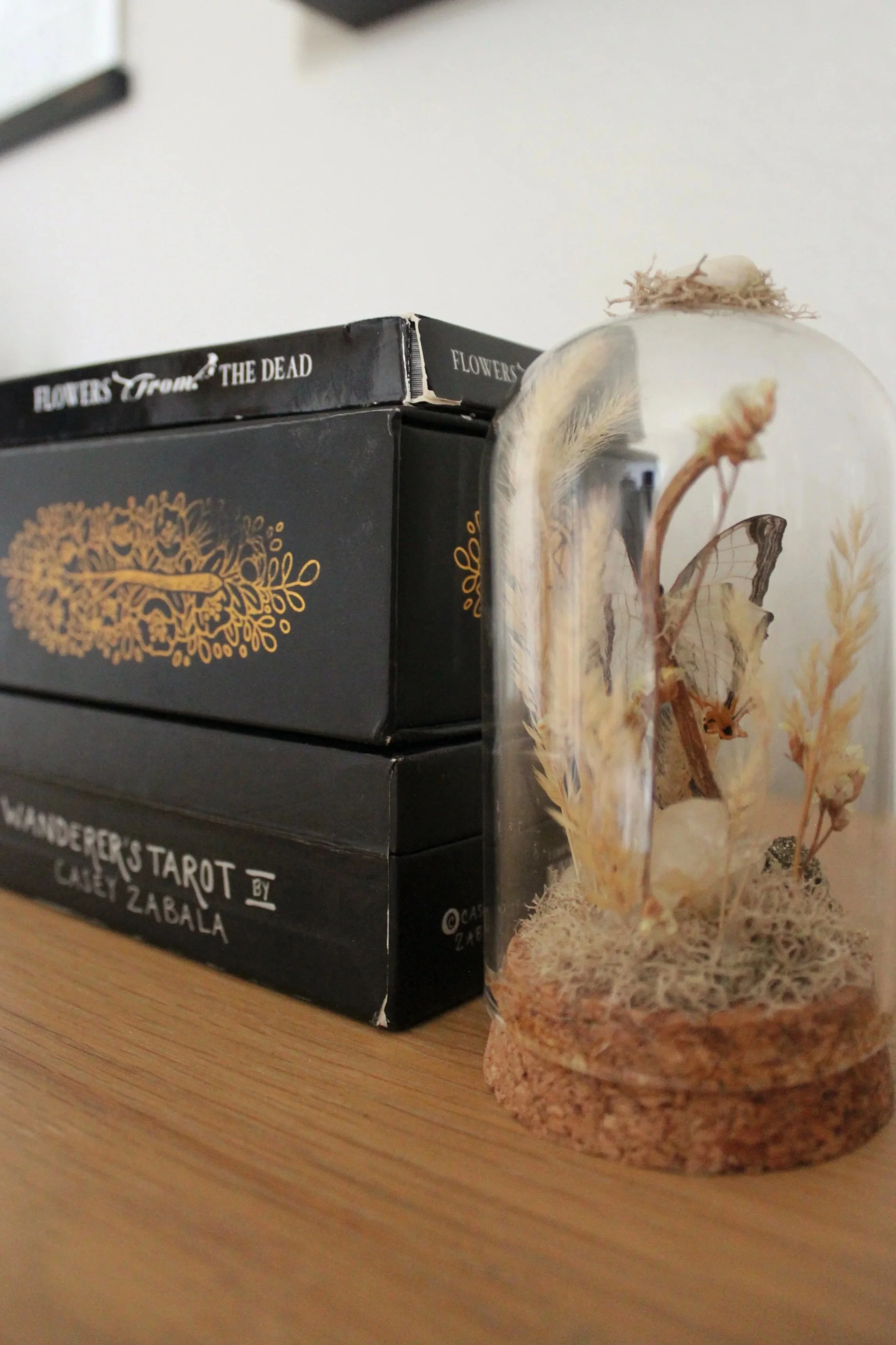A stack of boxed tarot decks and a cloche with a preserved butterfly.