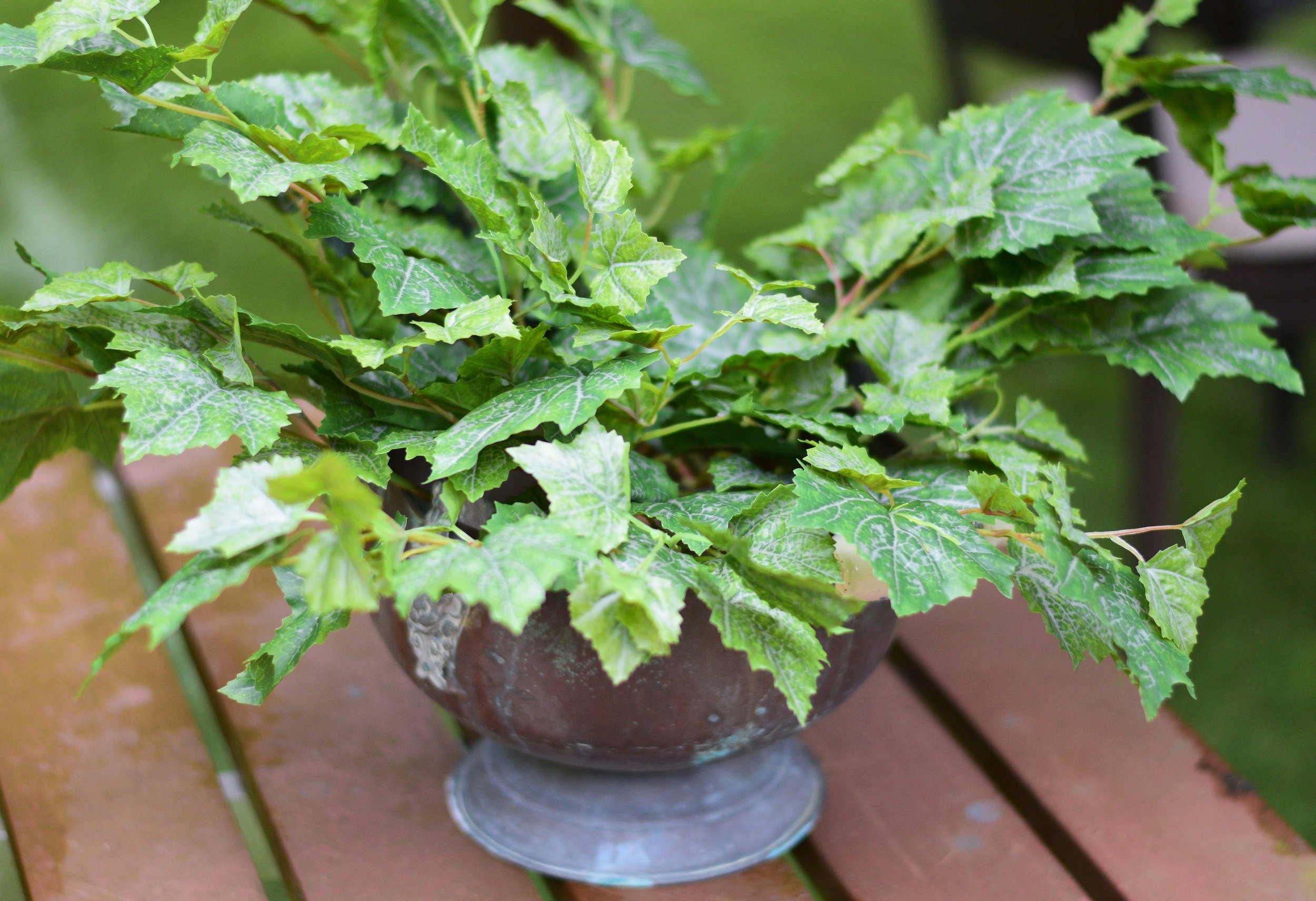 Artificial grape leaves green