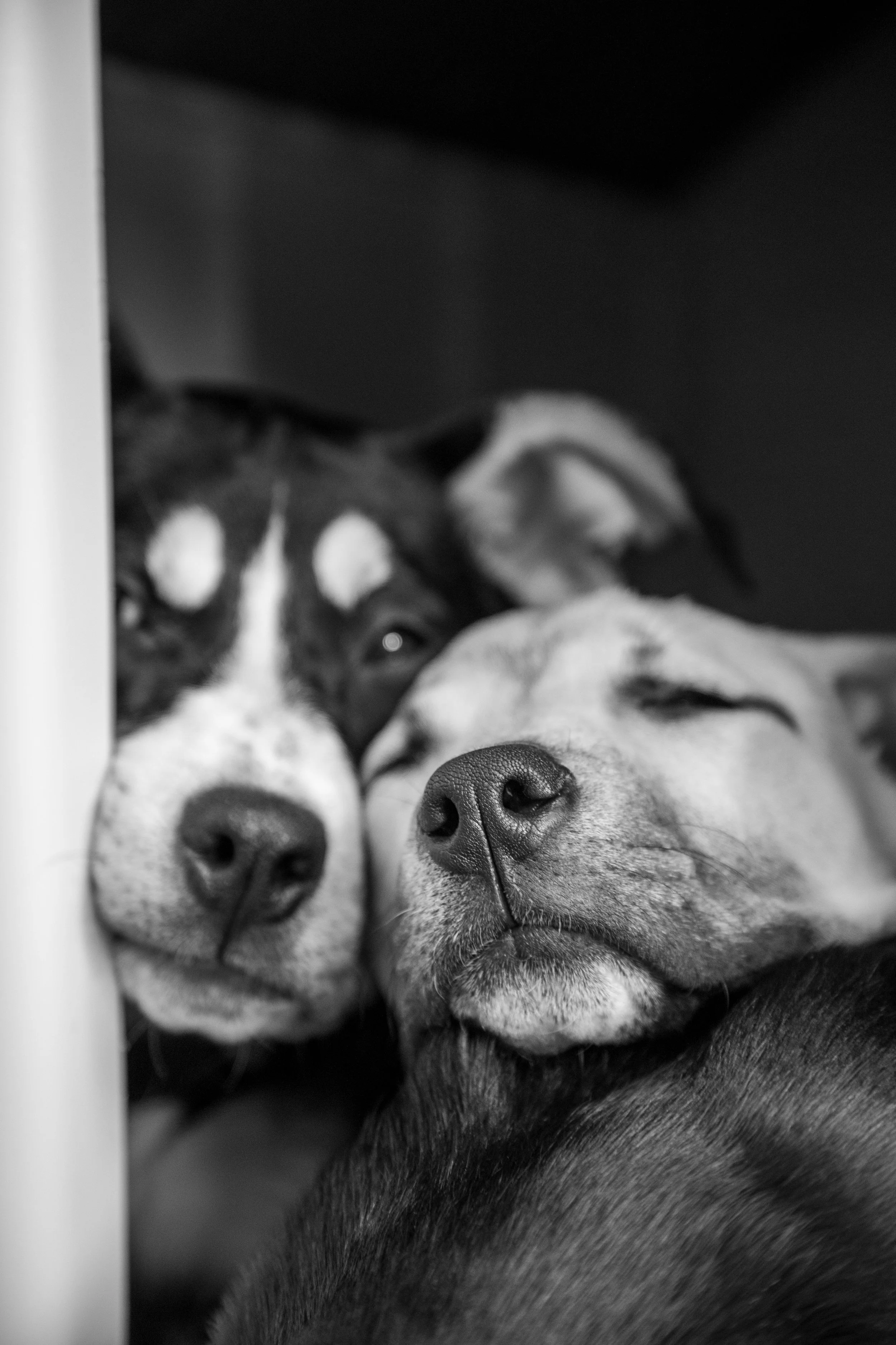 B&W HopeForLife Photos4.jpg