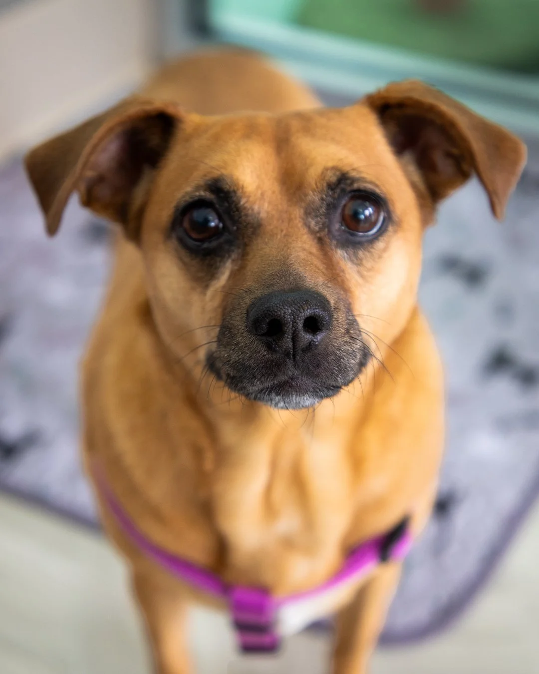 Final- ASK FOR NAME.jpg