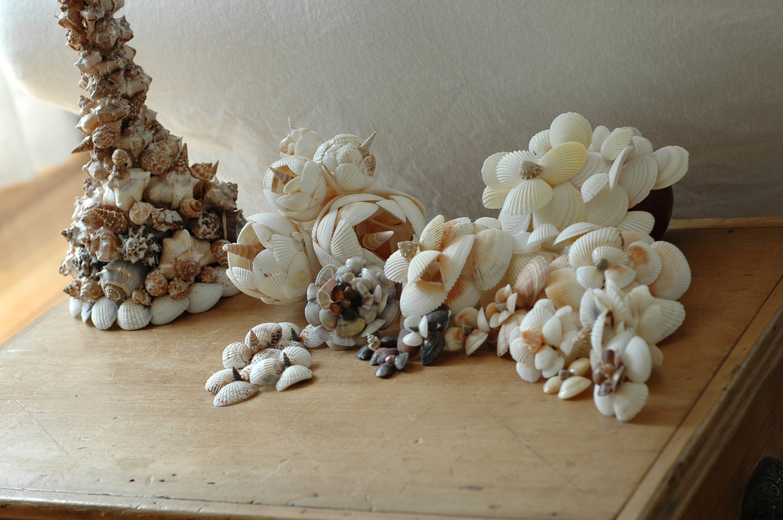 Shells and Boat pics 056 copy.jpg