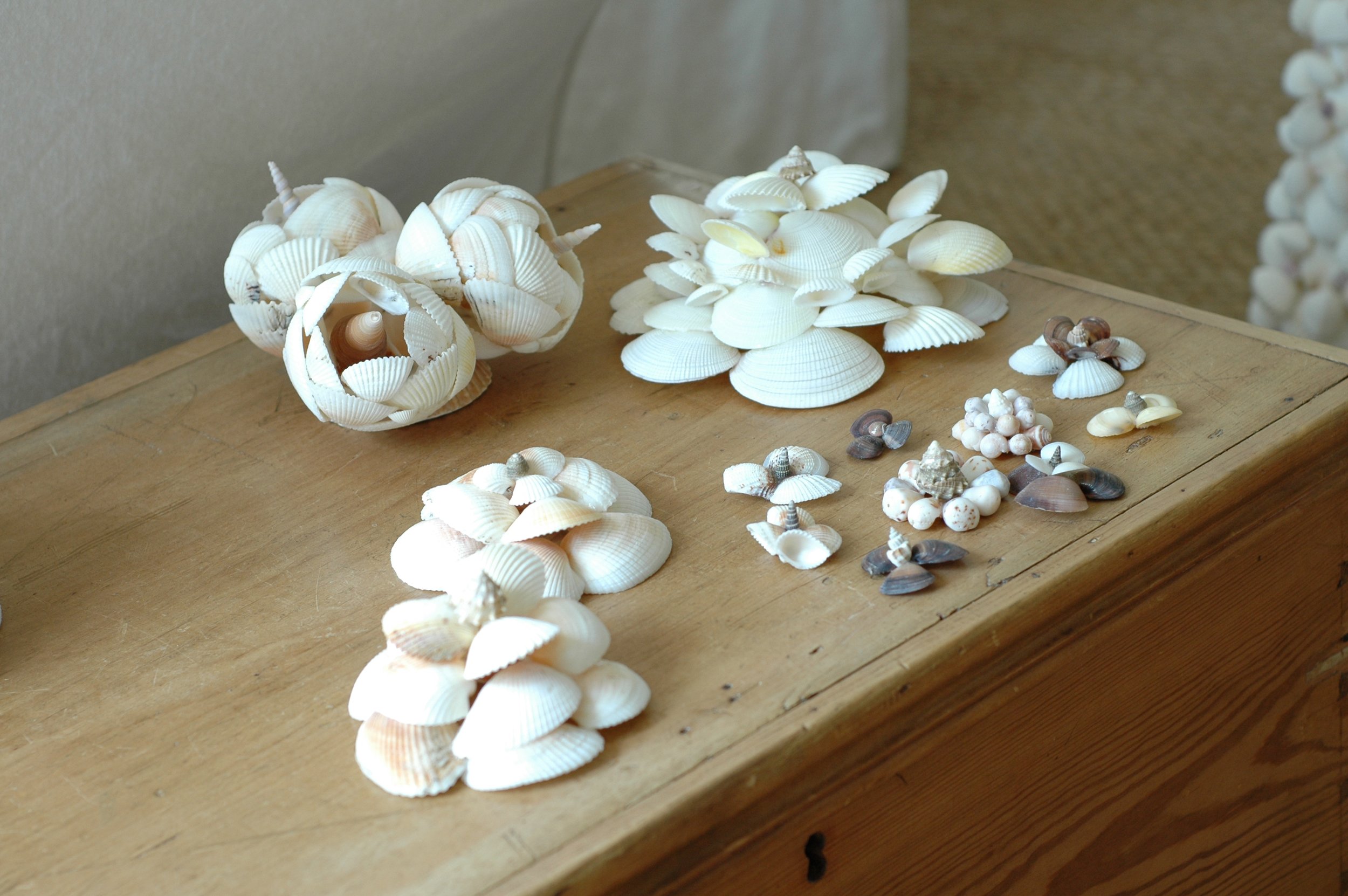 Shells and Boat pics 048 copy.jpg
