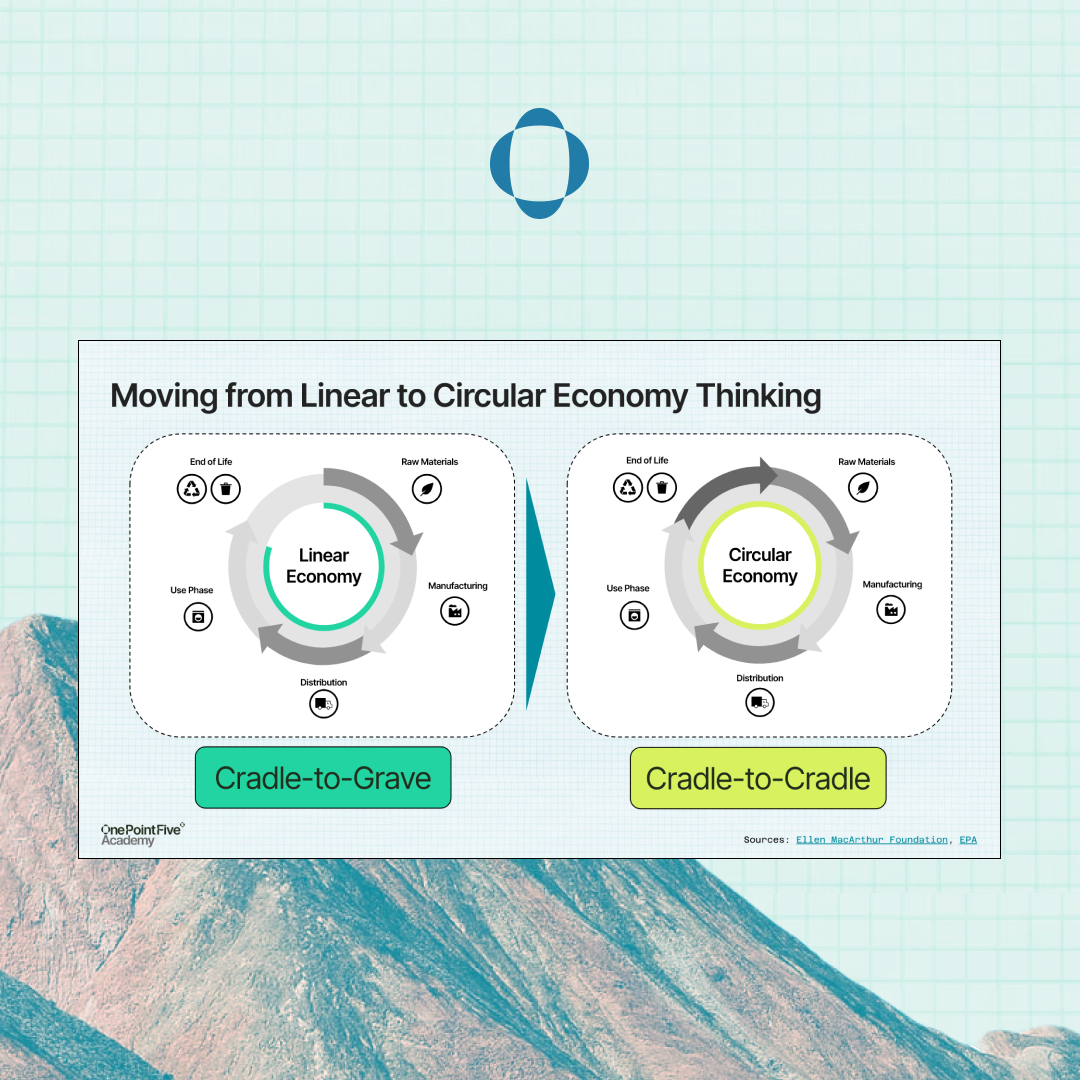 Product-Level Environmental Impact Assessment and Circular Design