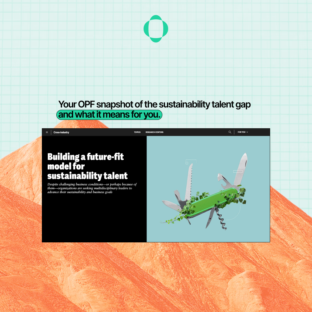 Cutting Through the Green Noise: The Sustainability Talent Gap