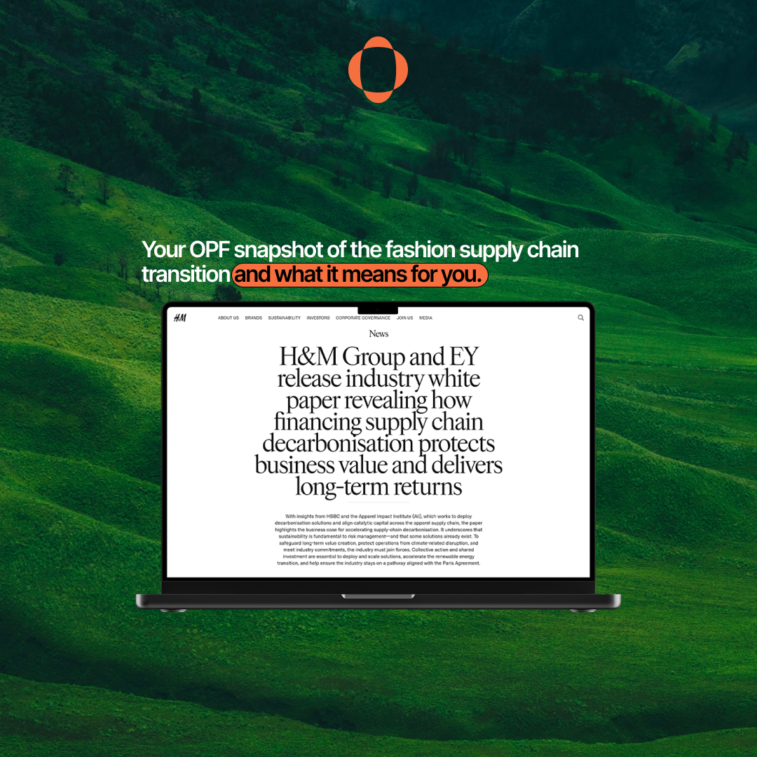 Cutting Through the Green Noise: Financing the Fashion Supply Chain Transition