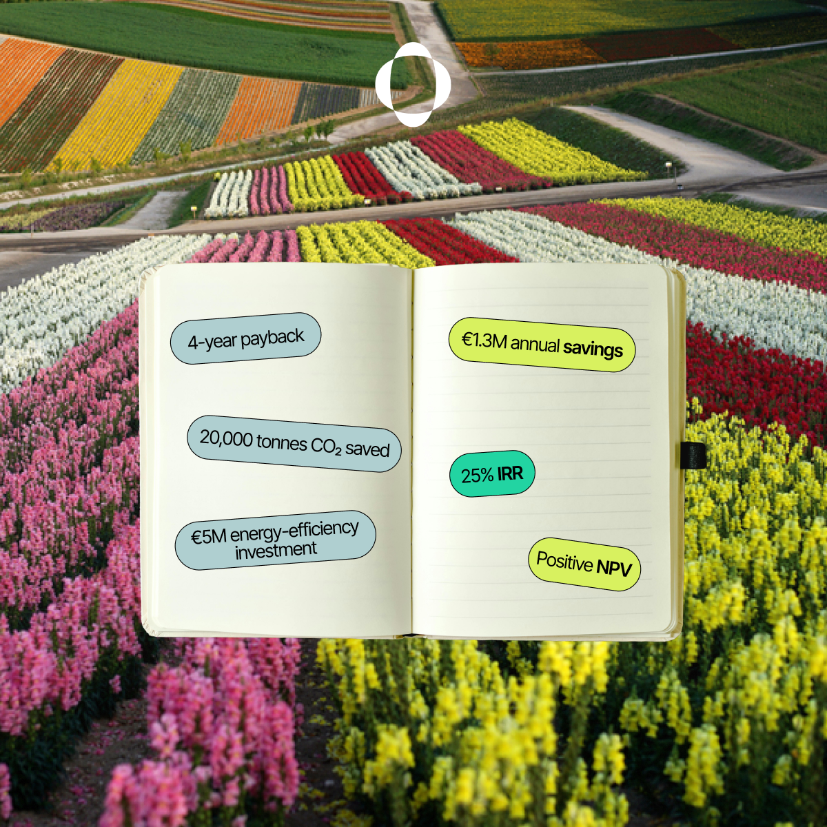 Beyond the Buzzwords: Translating Sustainability into ROI