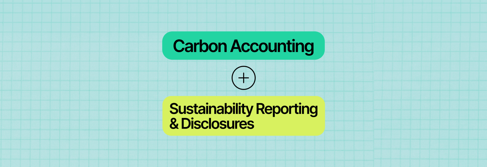 Diagram with two sections: 'Carbon Accounting' in a teal oval at the top, plus a plus sign below, and 'Sustainability Reporting & Disclosures' in a yellow oval below the plus sign. The background has a teal grid pattern.