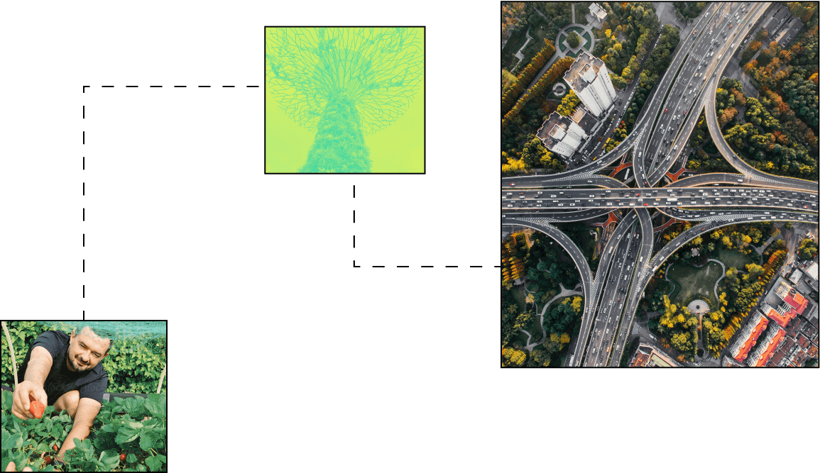 Images showing a network of interconnected roads with cars, an aerial view of buildings and trees, a person harvesting strawberries in a garden, and a diagram of a tree's root system.