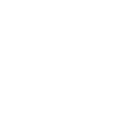 Customer Service.png