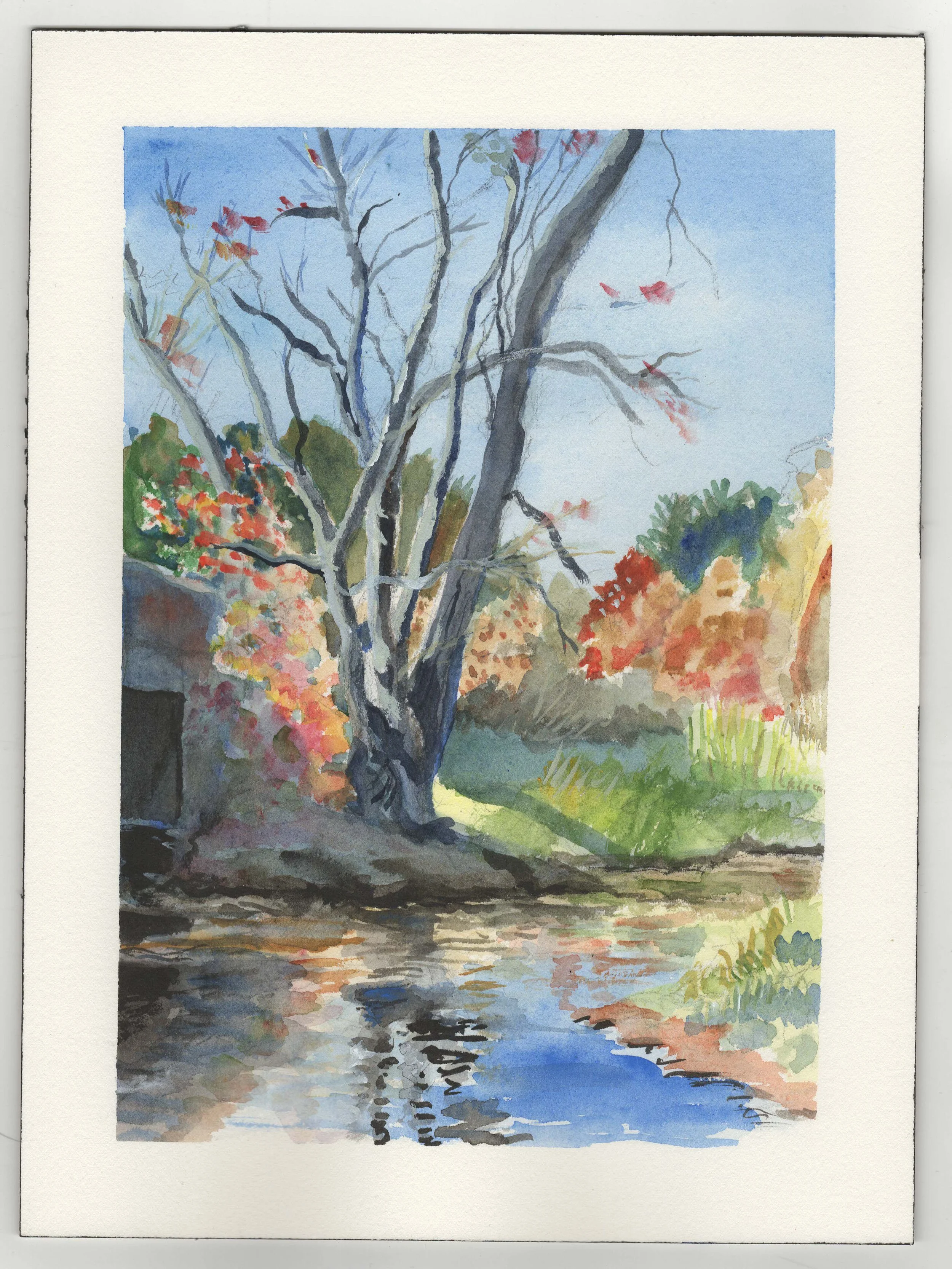 Lemieux_Margo_ Bright Morning - Margo Lemieux.jpg