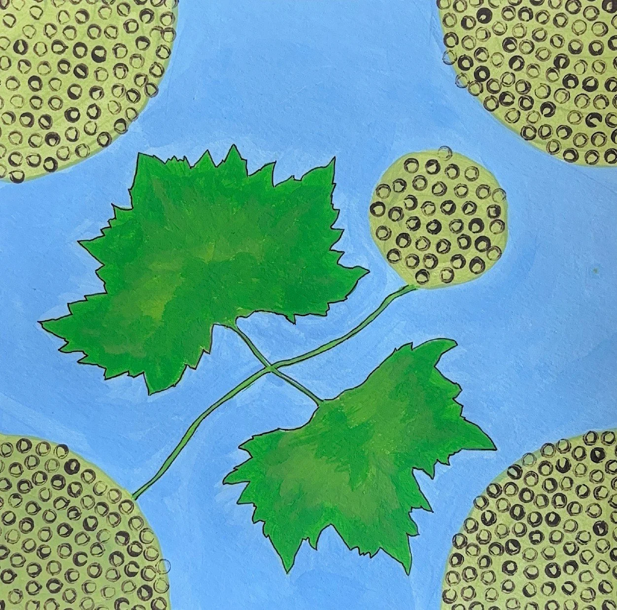 Hutker_Ana_American-Sycamore - Ana Hutker.jpg