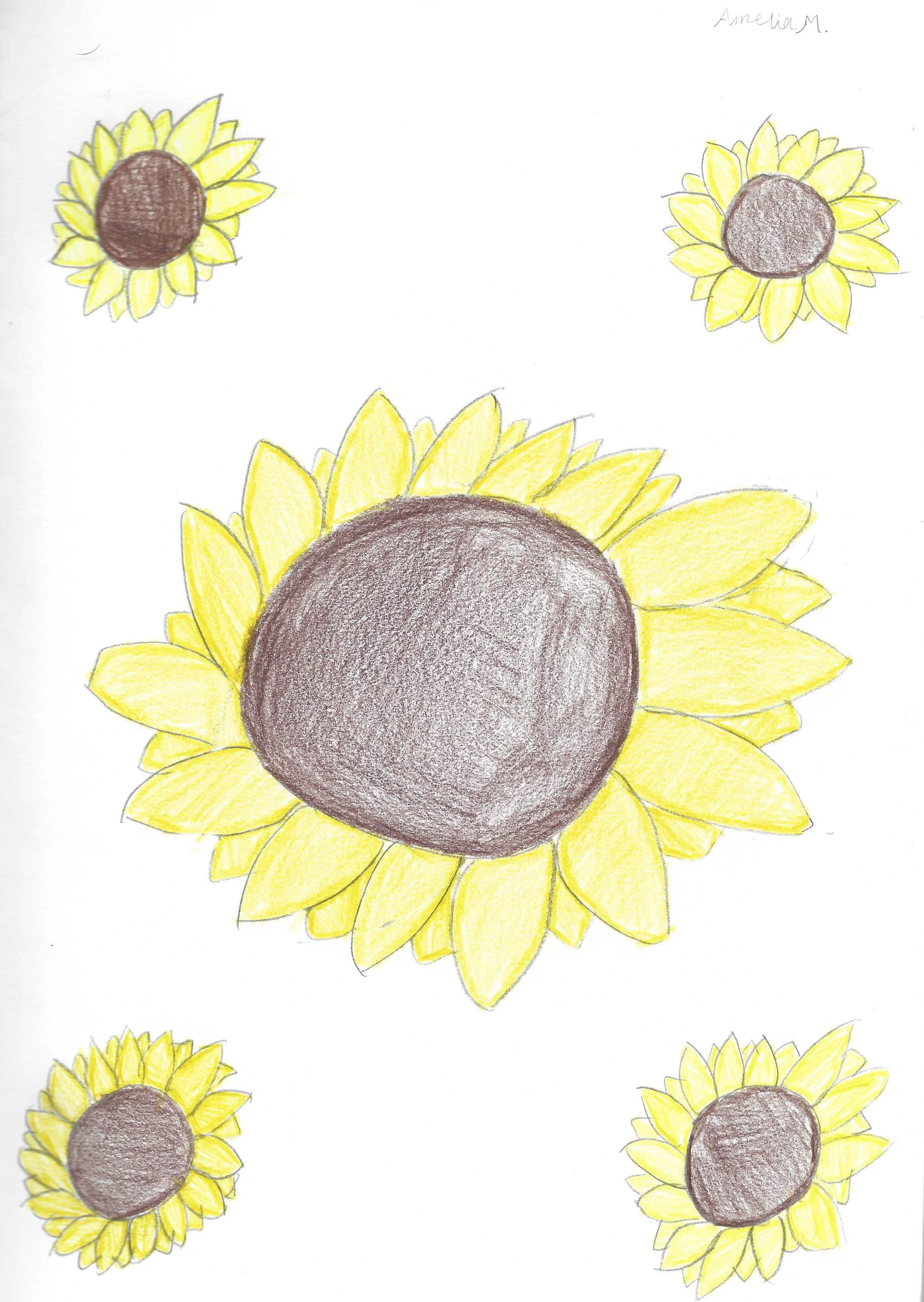 Mitchell_Amelia_When Flowers Fall - Kathryn Mitchell.jpg