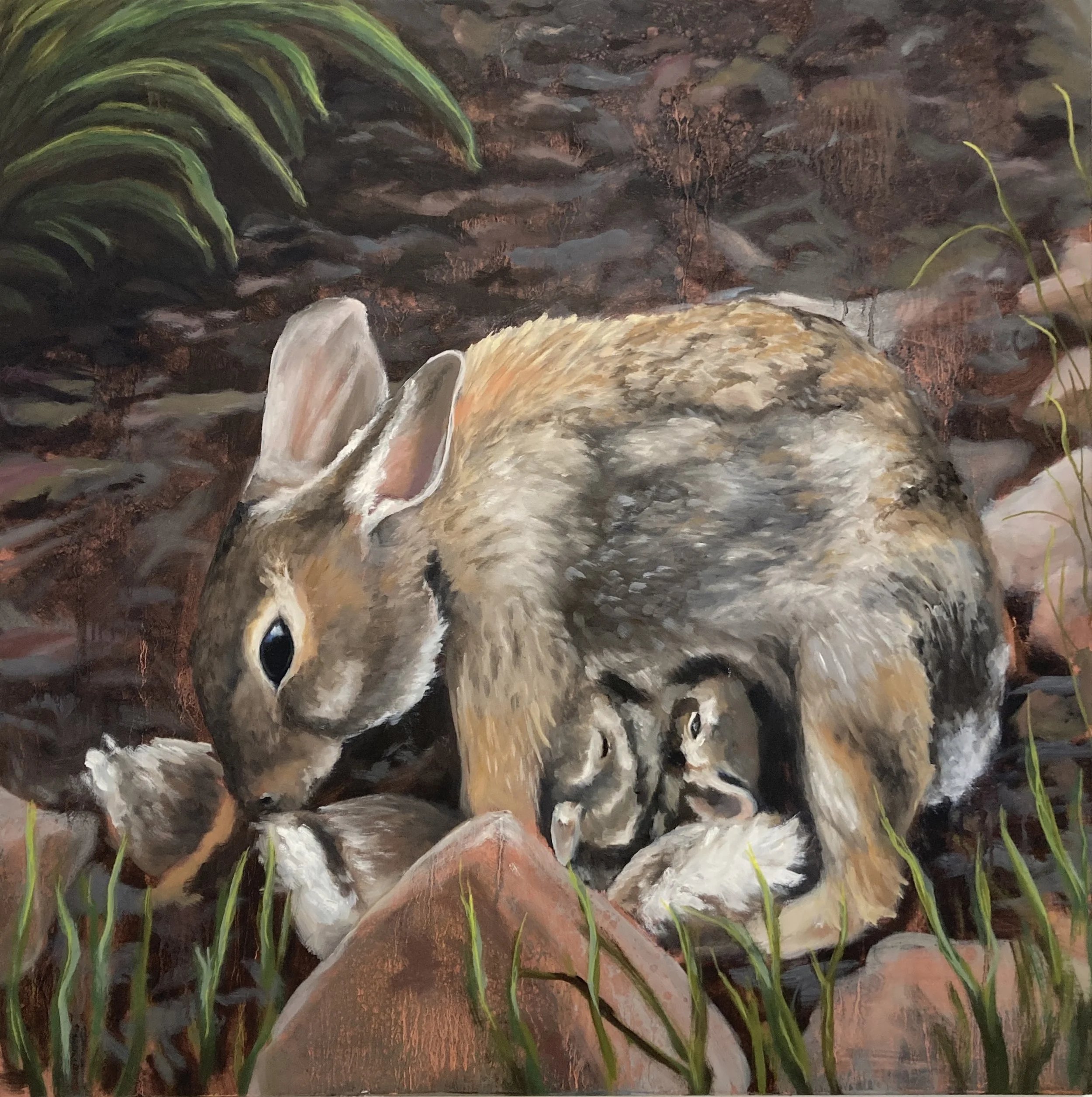 Bilotta_Tara_MotherRabbit - Tara Bilotta.jpg