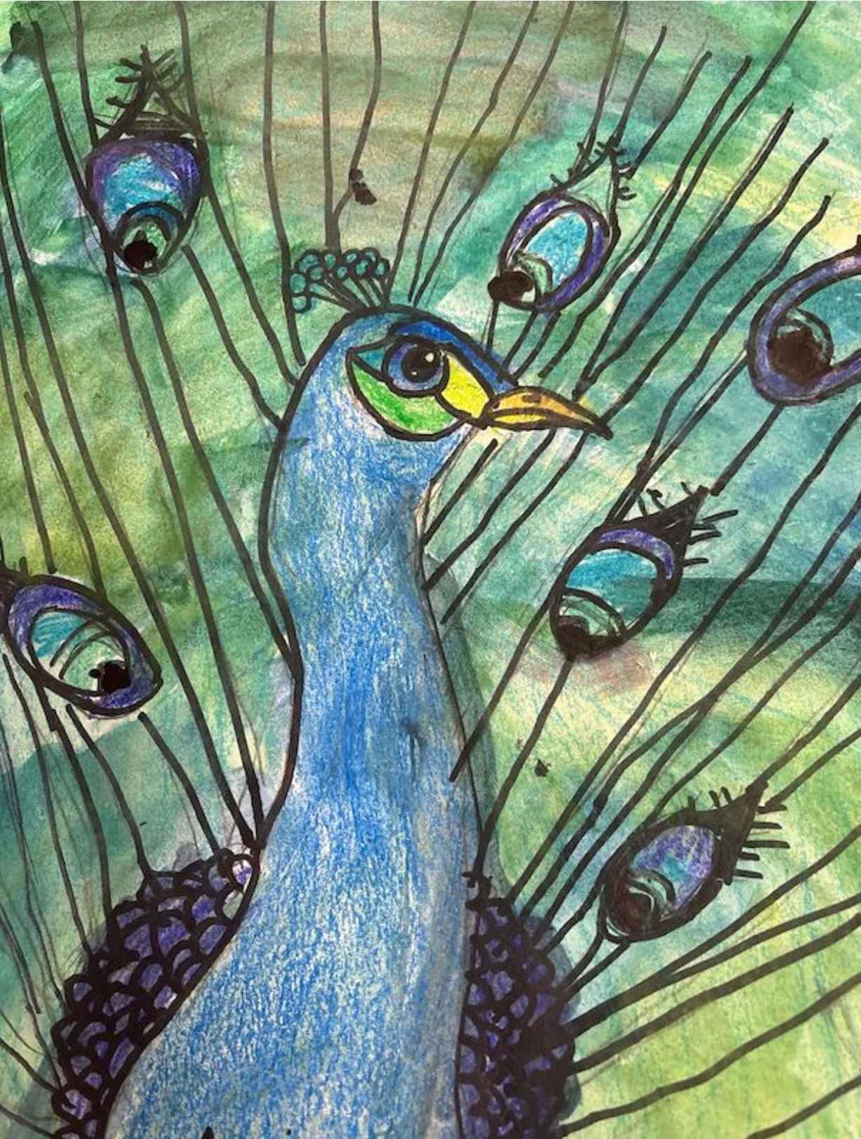 Gauthier_Anna_Eyes_of_the_Peafowl - nathangauthier@hotmail.com.png