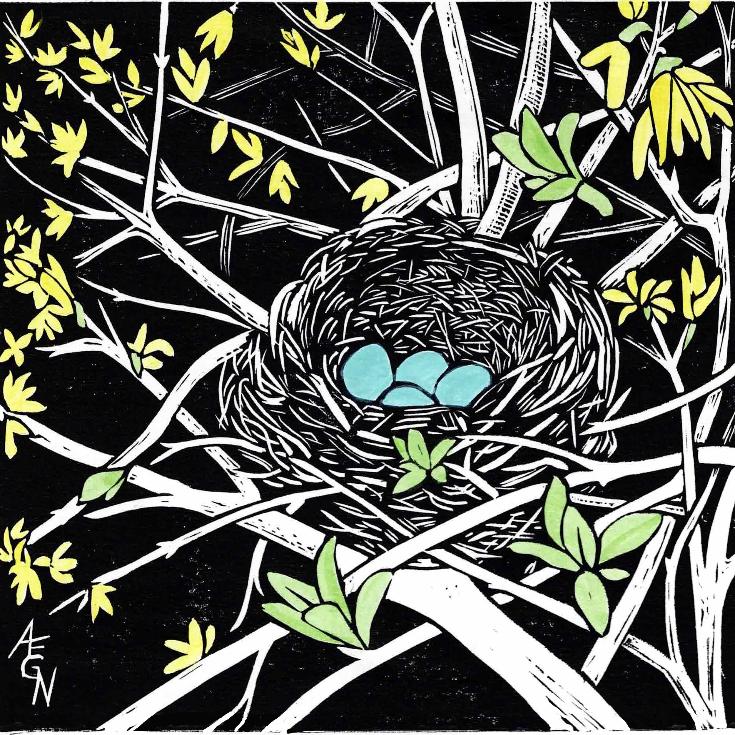 Nydam_Anne_Robins Nest - Anne Nydam.jpg