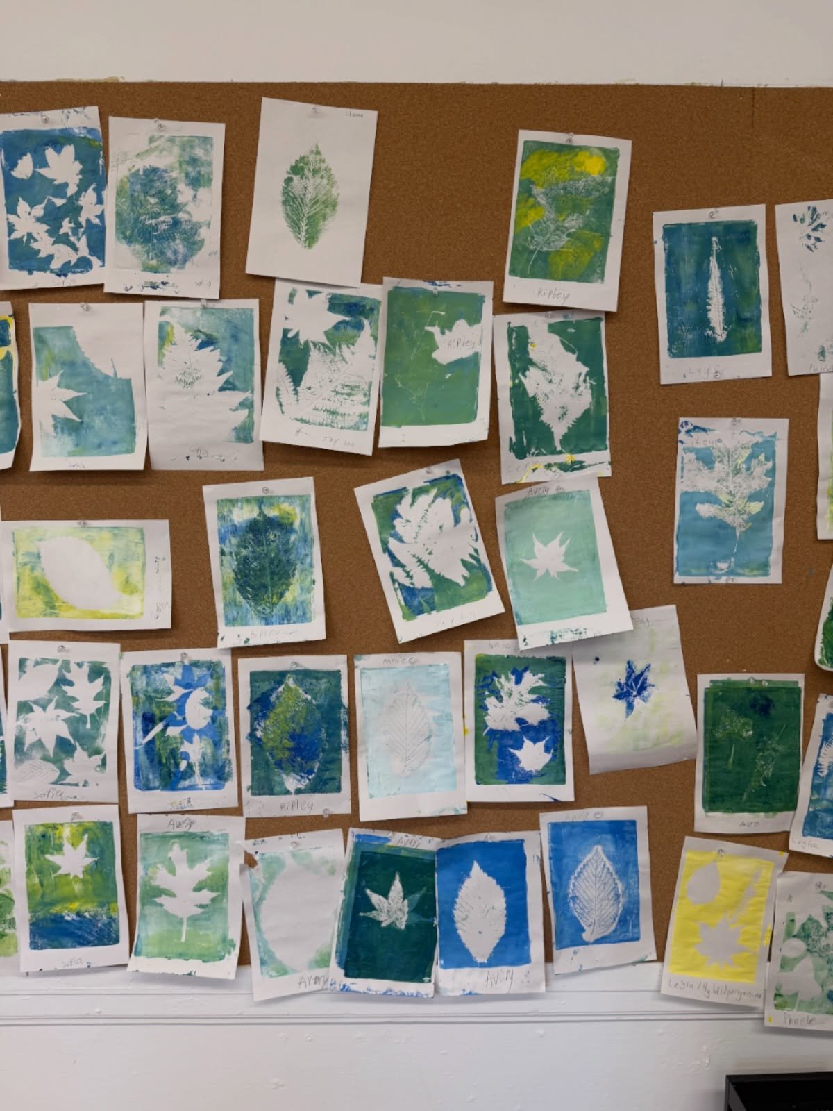 We love seeing our walls come alive with artwork from our Summer Youth Arts students! 

This week&rsquo;s theme is &ldquo;Into the Woods,&rdquo; and our young artists have been exploring forests, wildlife, and the magic of nature through their creati