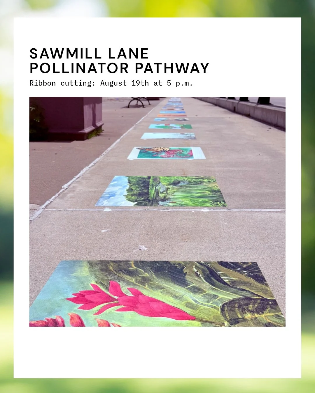 Art, nature, and community come together at Sawmill Lane! 🌿
Join us on Wednesday, August 19 at 5 pm for the ribbon cutting of the new Sawmill Lane Pollinator Pathway.
Over the past six months, the Dedham Department of Public Works has transformed th