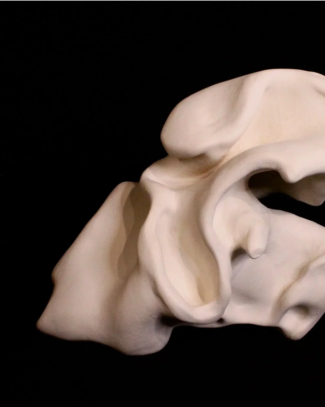 Meet Phie Deal!
Phie is a Boston-area ceramicist, sculptor, and teaching artist whose work explores form, texture, experimentation, and the connections between our bodies and the natural world.
A graduate of Skidmore College, Phie studied Studio Art 
