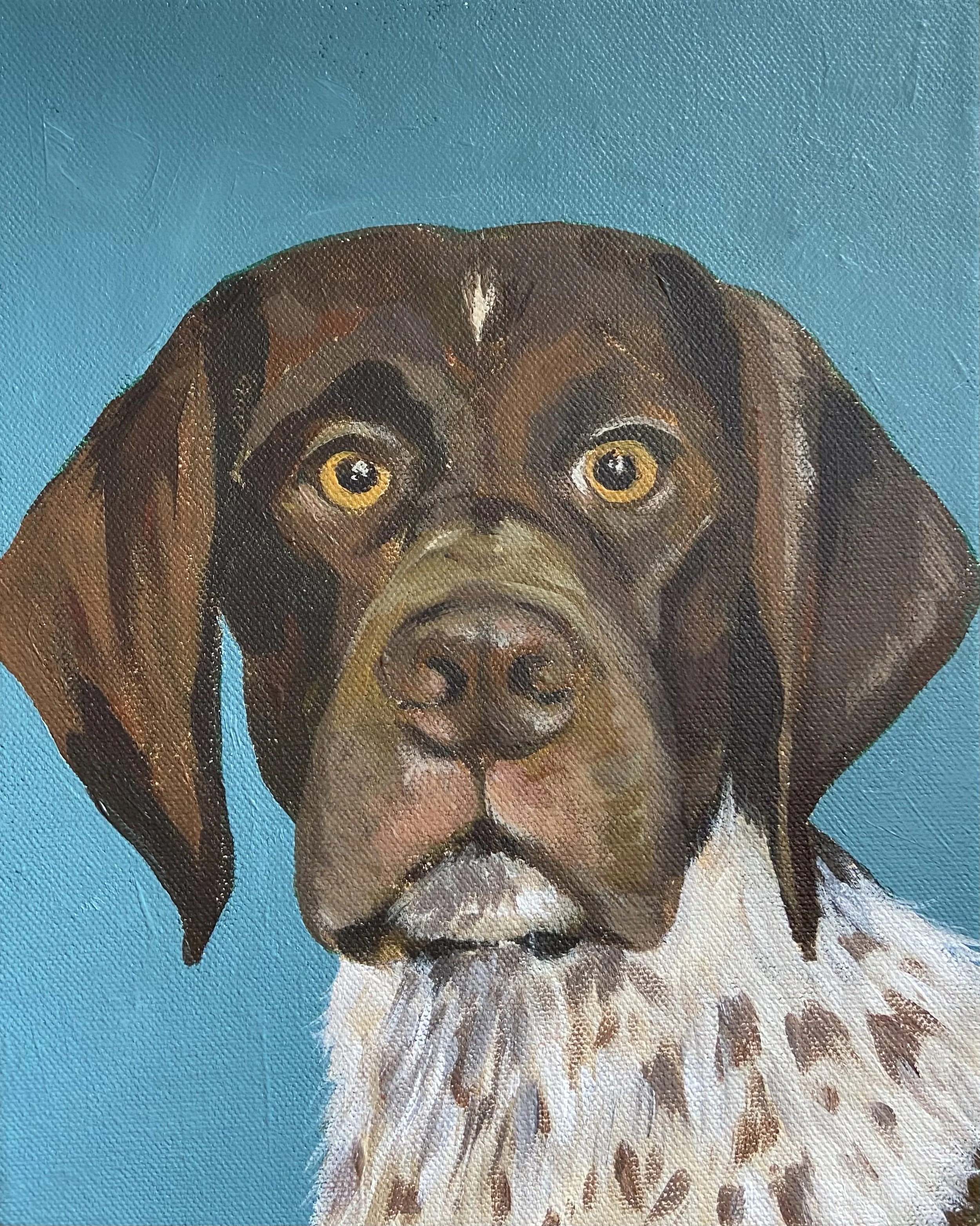 Pet Portraits Workshop