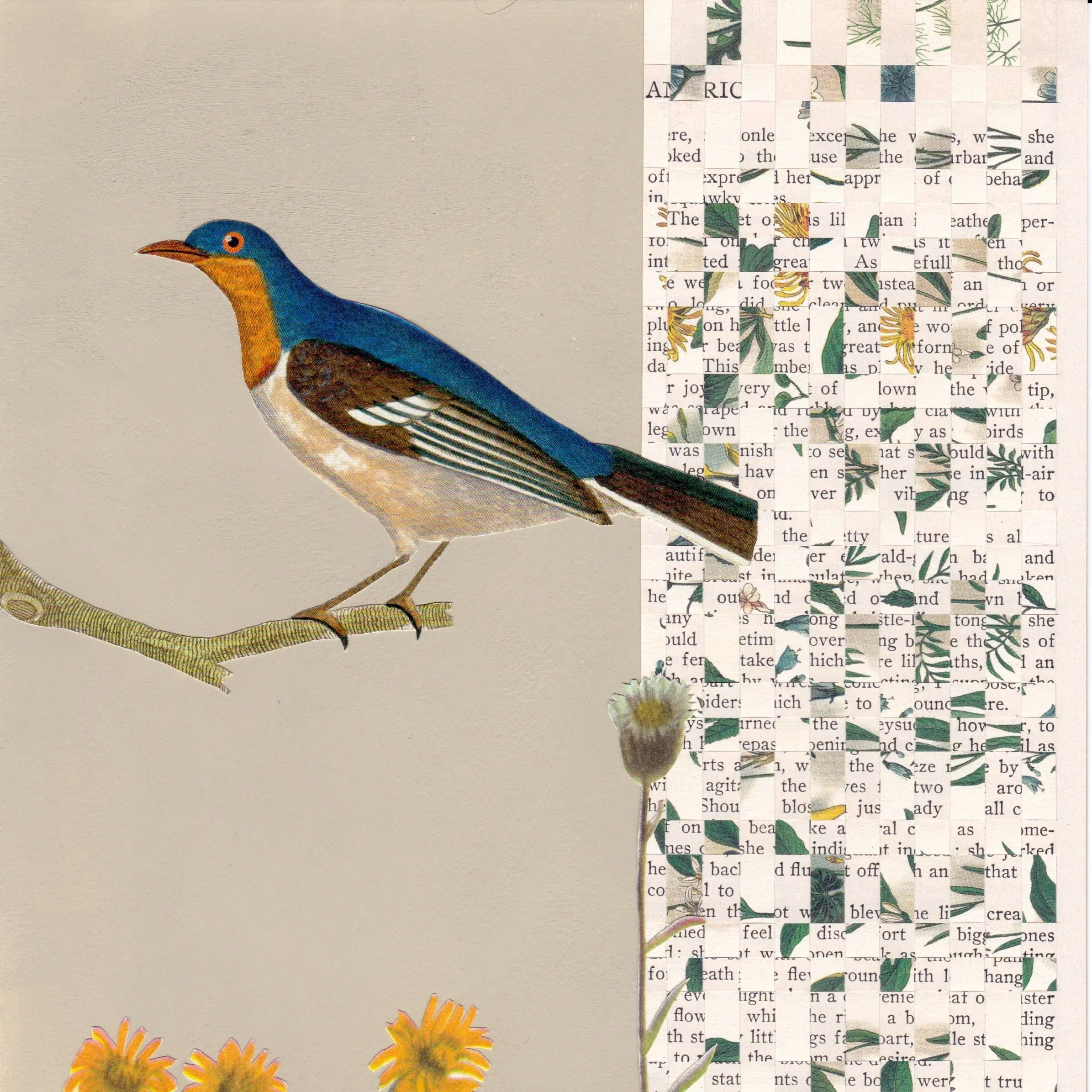 L . Vittoria Paper Weaving
