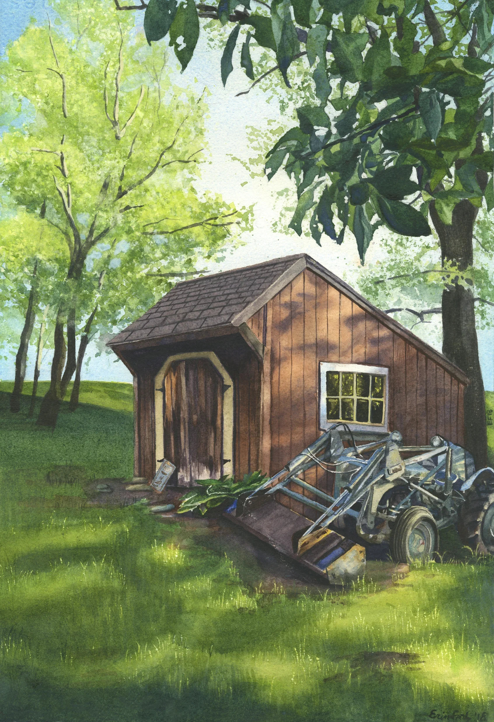 Shed_Web_finals_150.webp