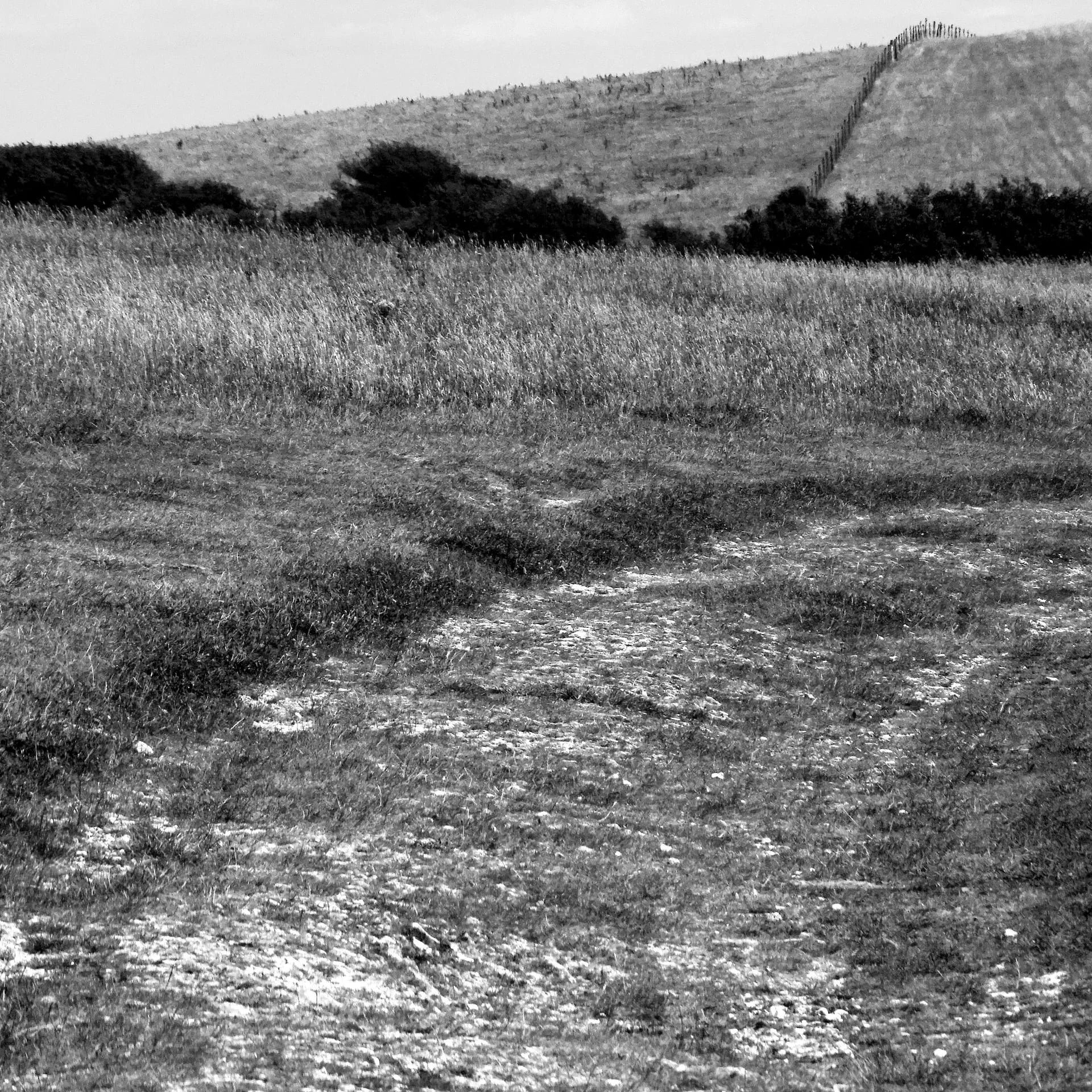 Firle Beacon