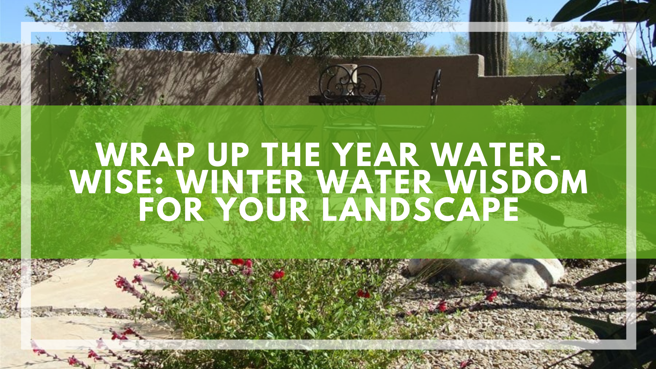 Wrap Up the Year Water-Wise: Winter Water Wisdom for Your Landscape