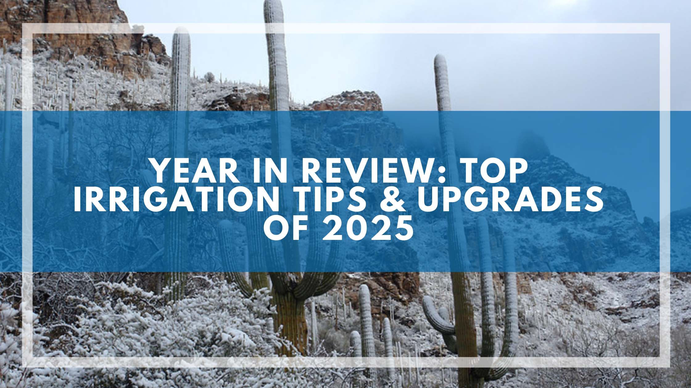 Year in Review: Top Irrigation Tips &amp; Upgrades of 2025