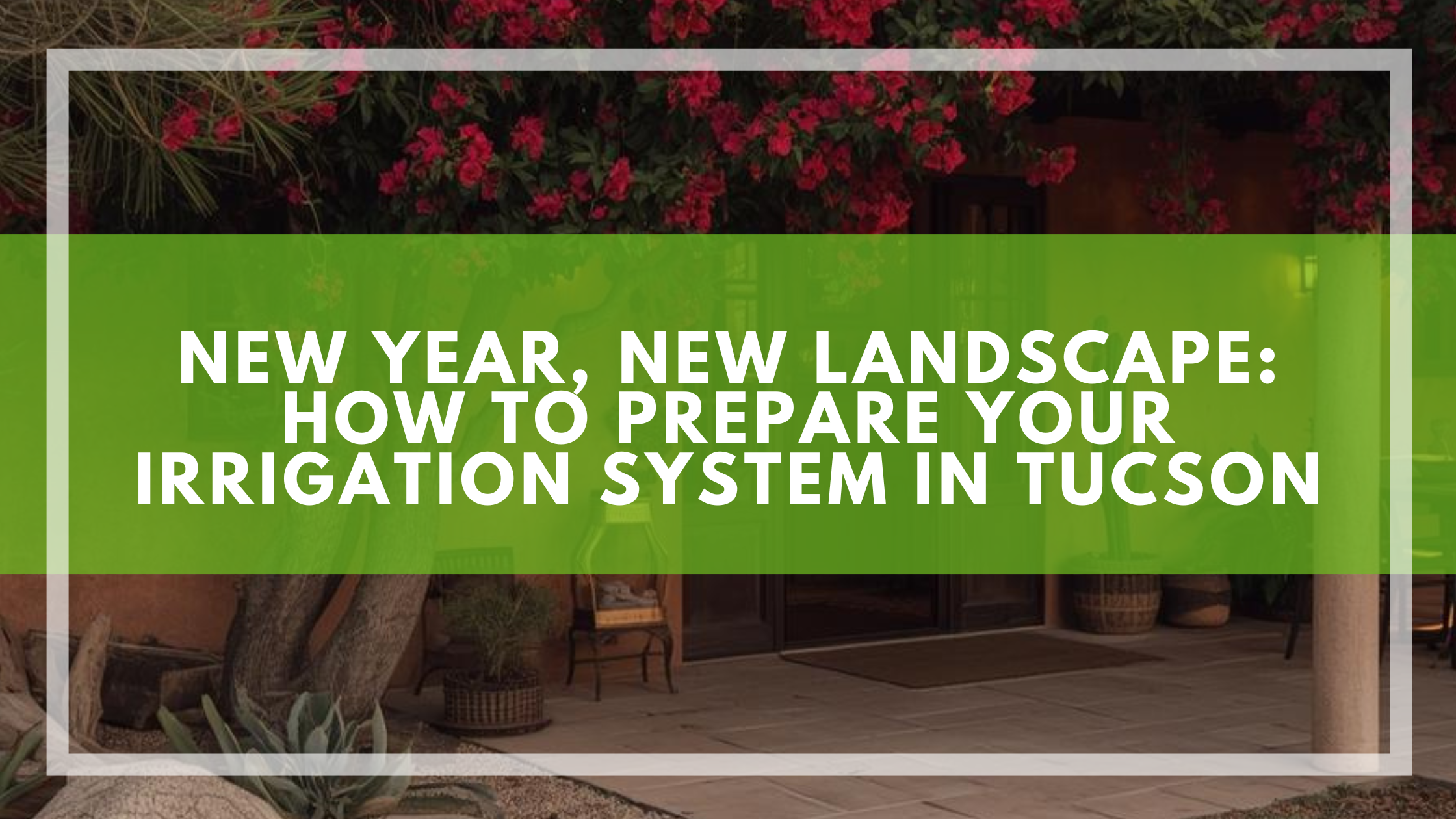 New Year, New Landscape: Tucson Irrigation System Inspection Guide