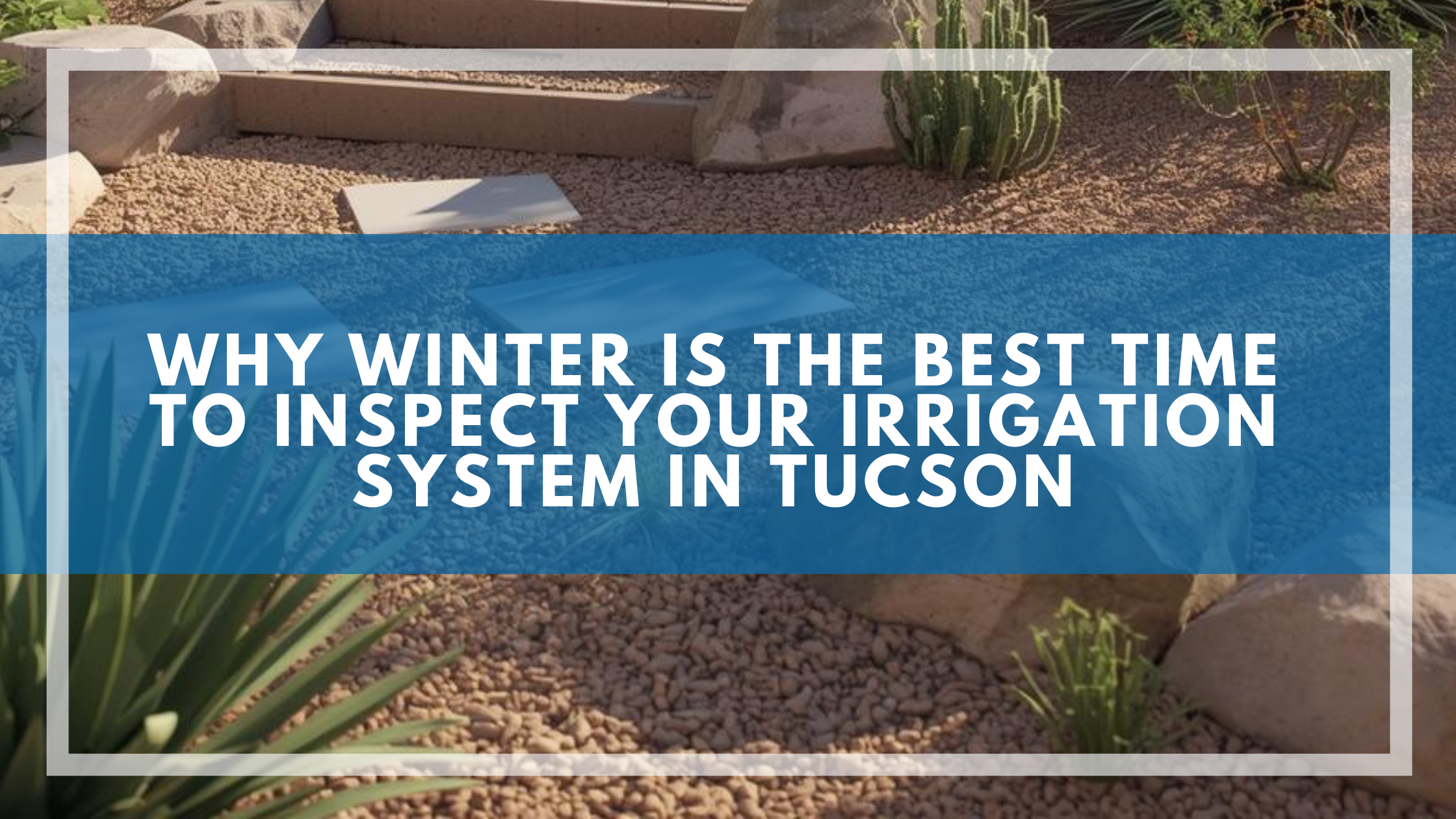 Why Winter Is the Best Time to Inspect Your Irrigation System in Tucson