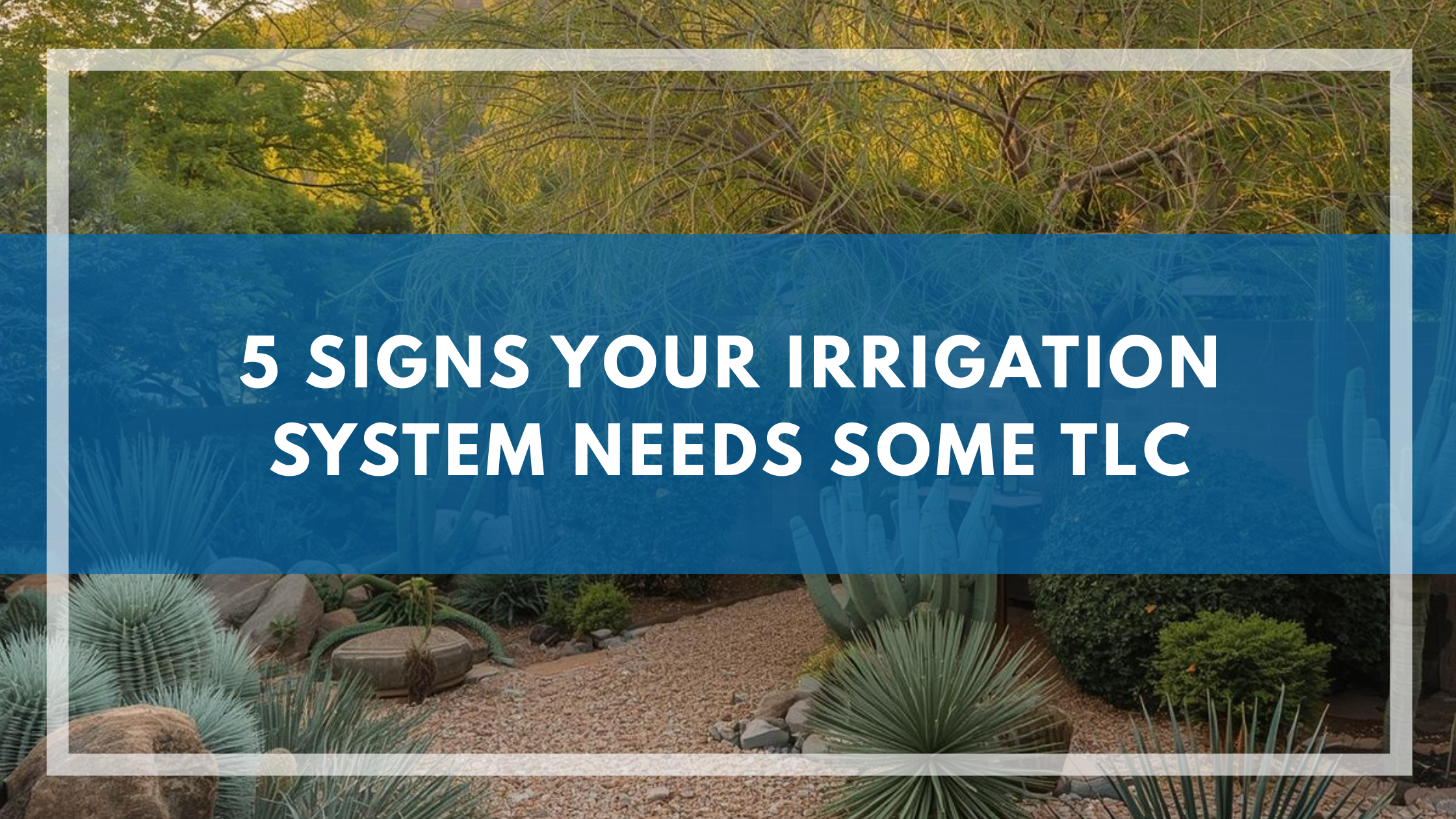 5 Signs Your Irrigation System Needs Some TLC