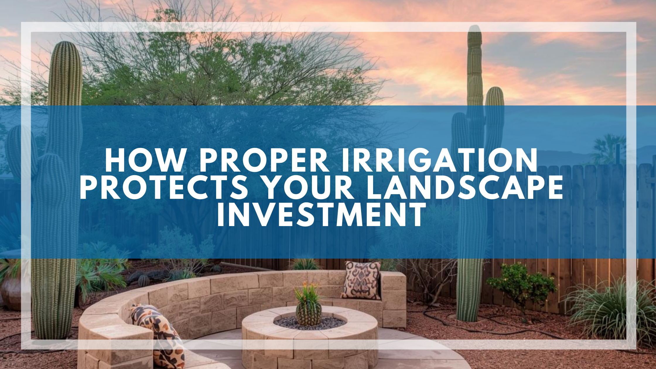 How Proper Irrigation Protects Your Landscape Investment