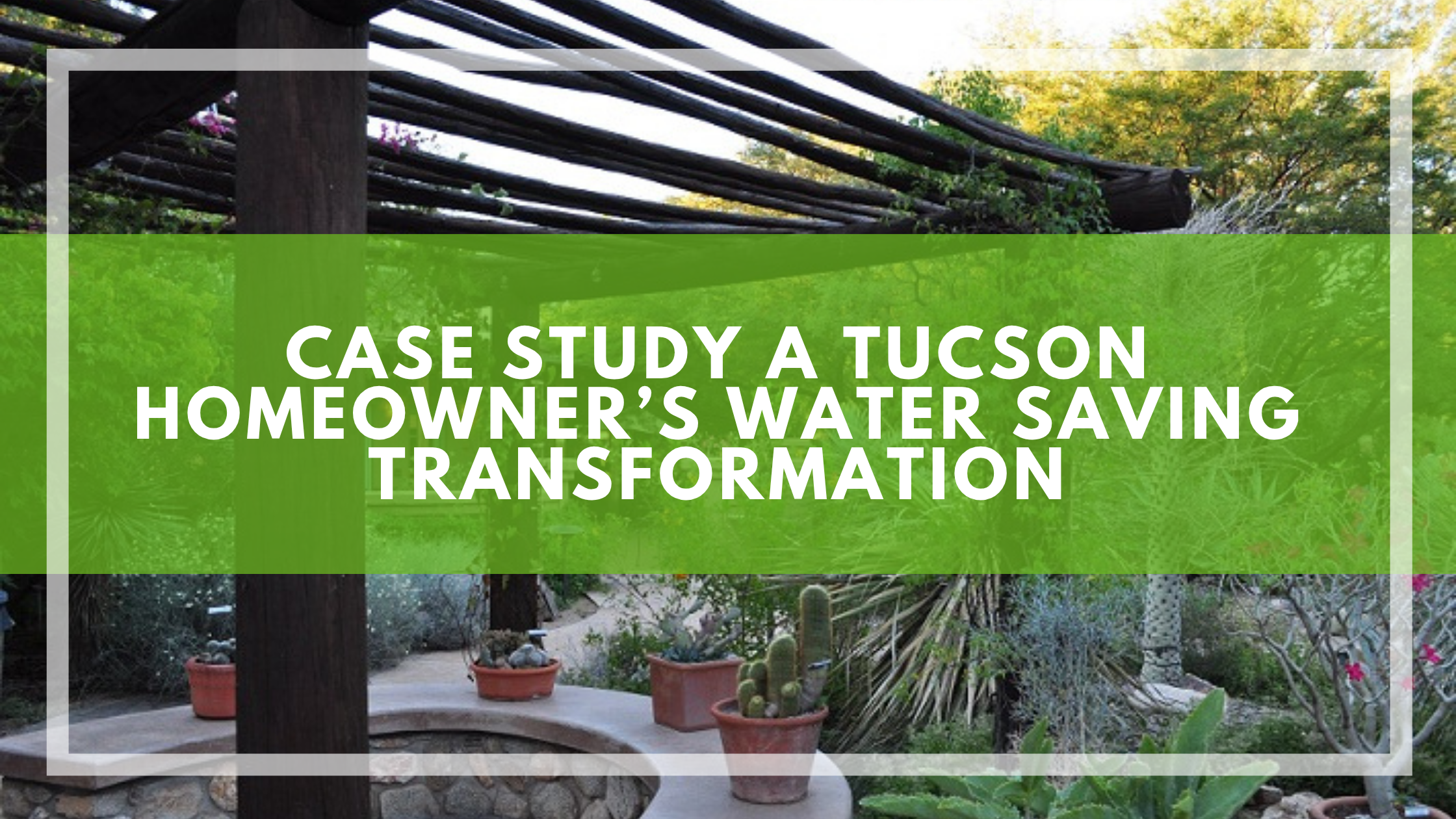 Case Study A Tucson Homeowner’s Water Saving Transformation