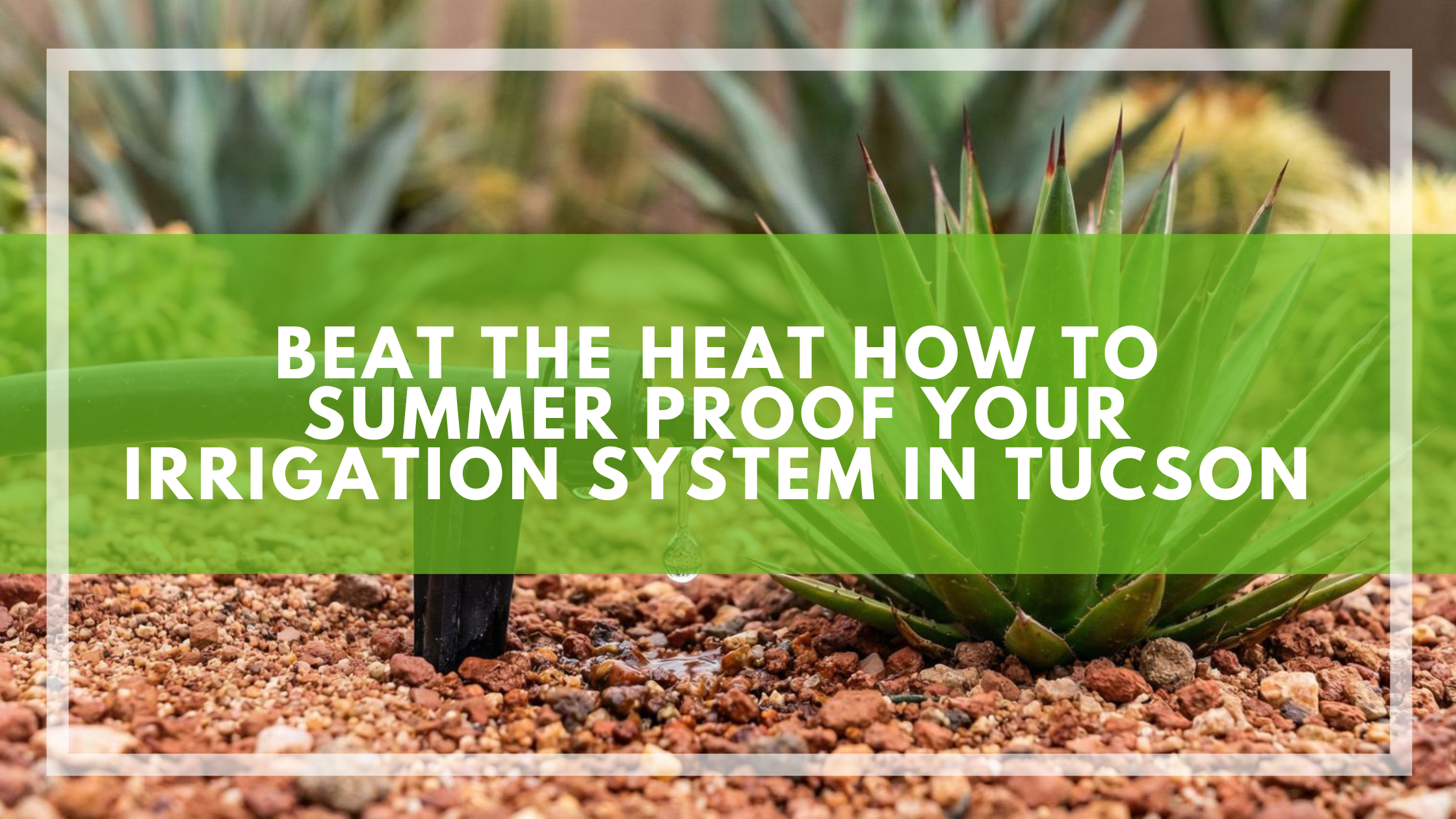 Beat the Heat: How to Summer-Proof Your Irrigation System in Tucson