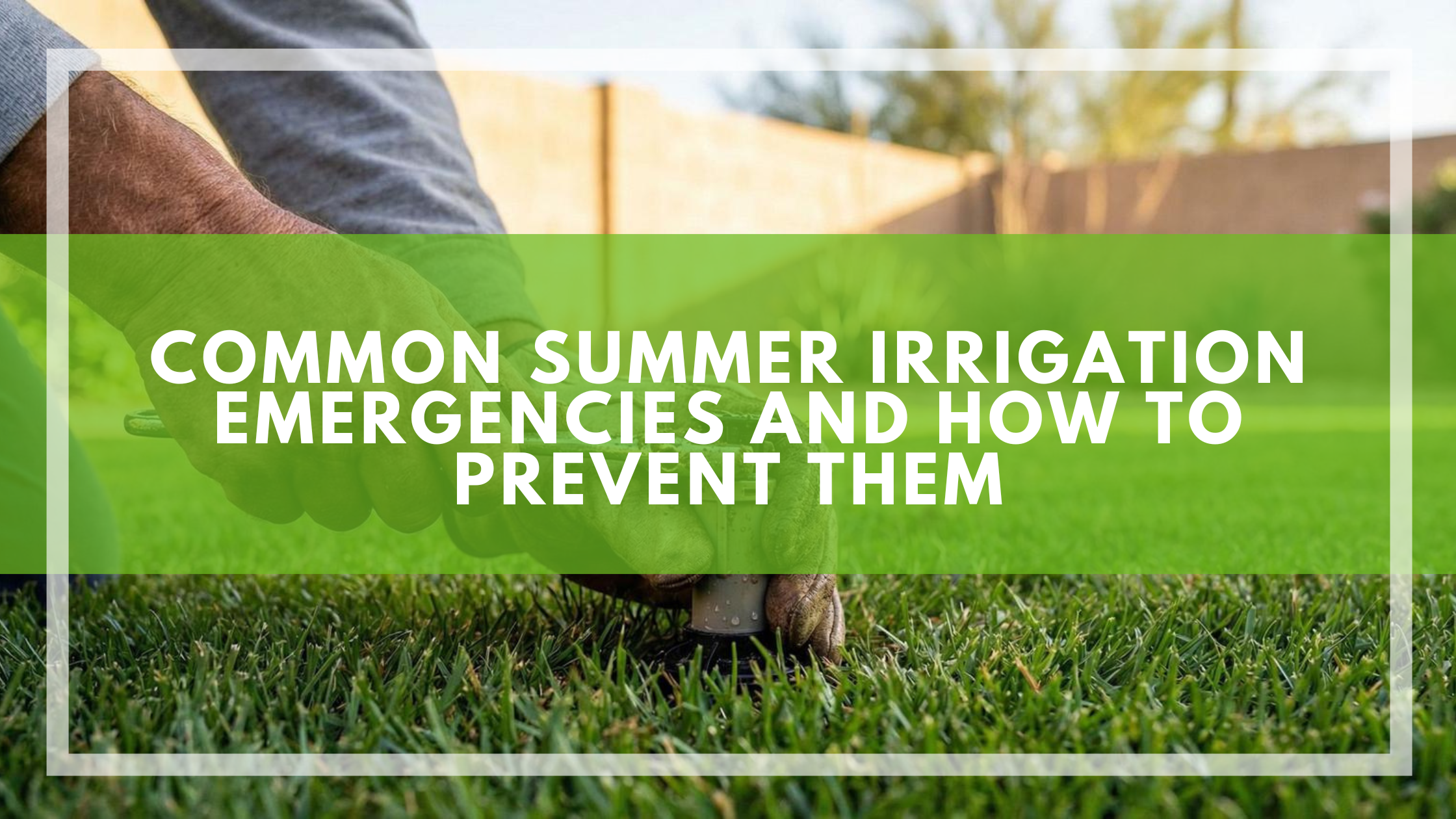Common Summer Irrigation Emergencies and How to Prevent Them
