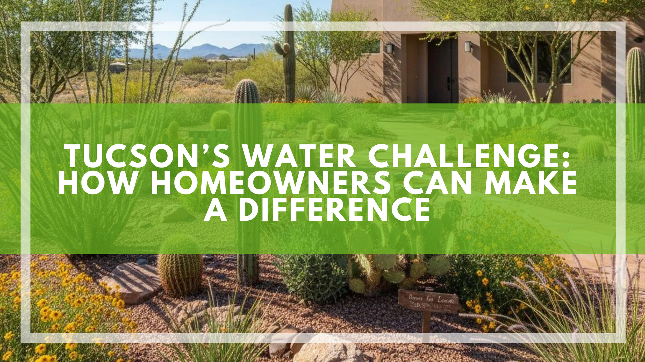 Tucson’s Water Challenge: How Homeowners Can Make a Difference