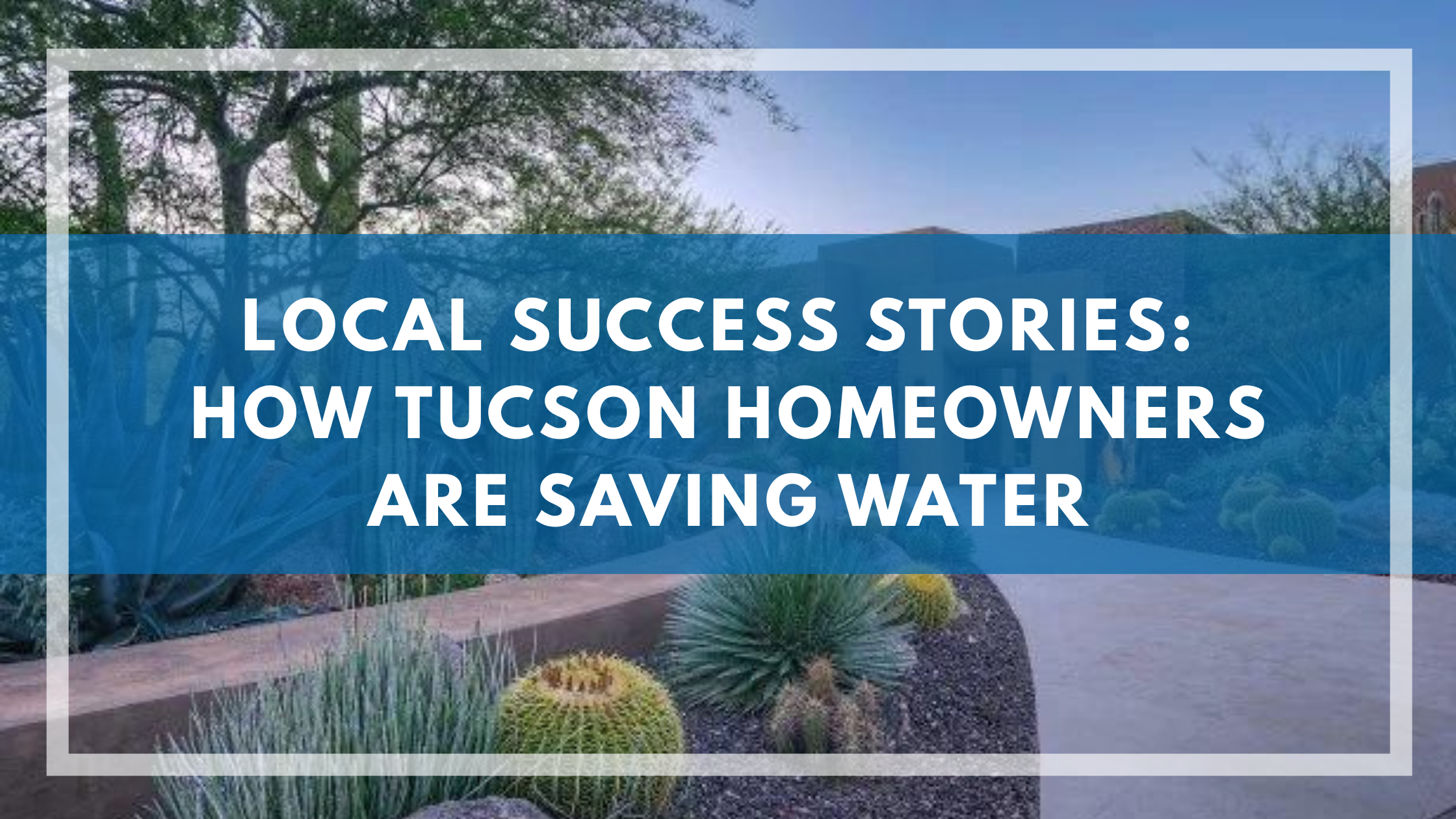 Local Success Stories: How Tucson Homeowners Are Saving Water