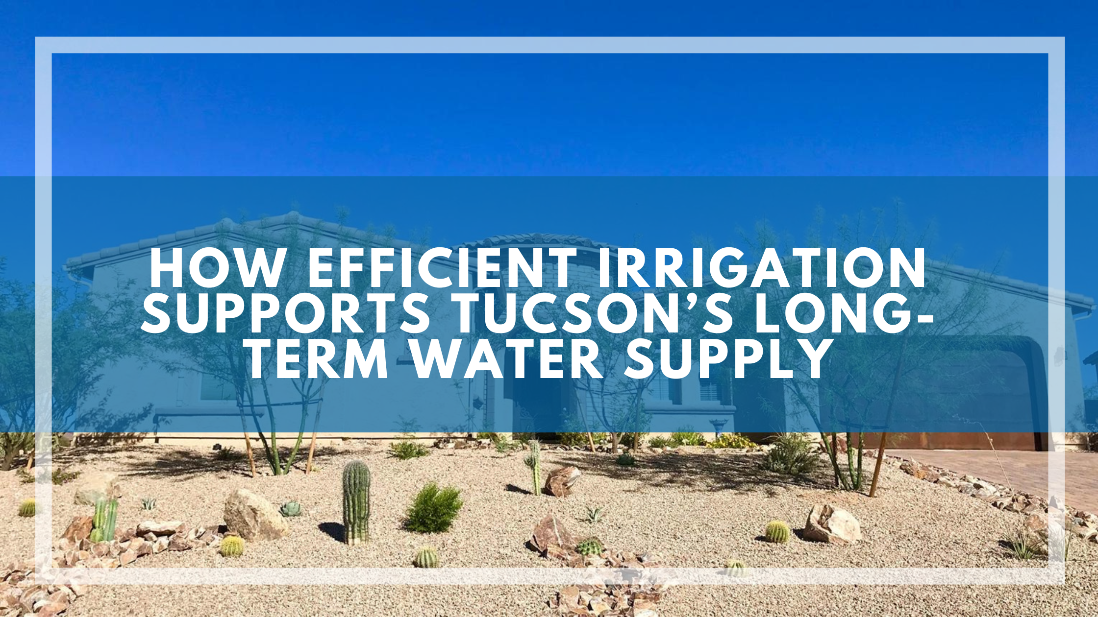 How Efficient Irrigation Supports Tucson’s Long-Term Water Supply