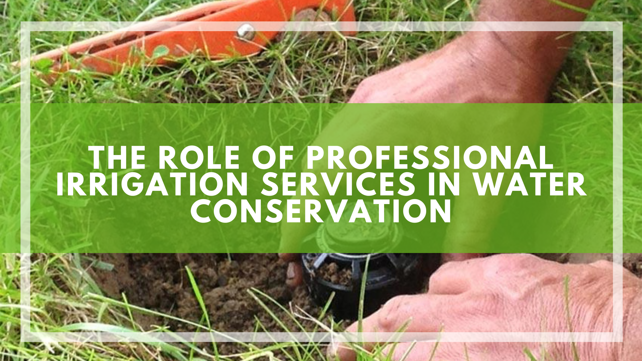 The Role of Professional Irrigation Services in Water Conservation